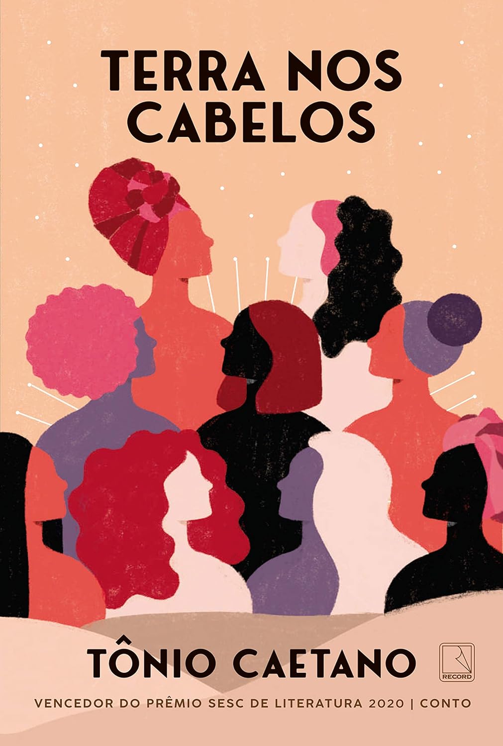 Capa do livro Terra nos cabelos